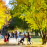 Świdnica zdobywa 740 tys. zł na wsparcie seniorów i ich aktywność