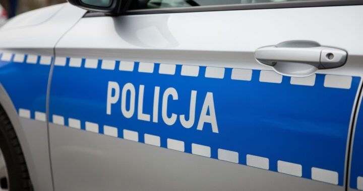 policja-w-akcji--brak-dowod--w-na-rzekomy-internet-auto-6644